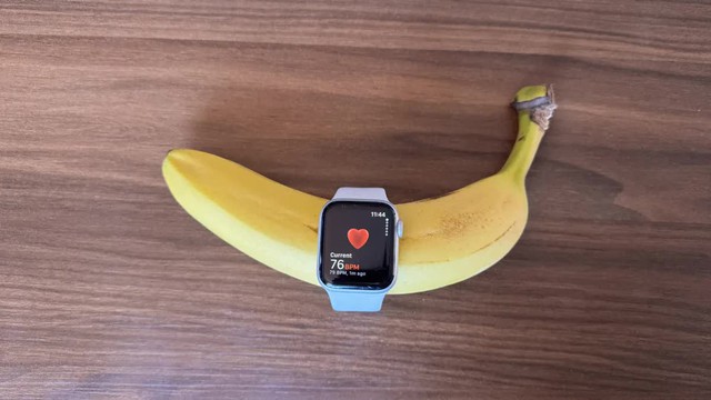 Đeo smartwatch cho trái cây phát hiện nhịp tim có phải là 'bất thường'? - Ảnh 1.