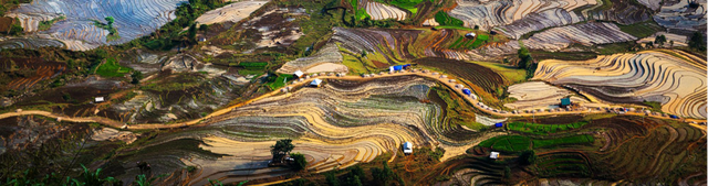 Hơn 20 năm ghi dấu vẻ đẹp Việt Nam qua ống kính Hồ Vũ- Ảnh 5.