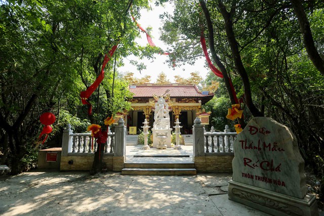 Rừng thiêng giữa phố: Huyền tích dưới tán rừng Rú Chá- Ảnh 1. Rừng thiêng giữa phố: Huyền tích dưới tán rừng Rú Chá- Ảnh 1.