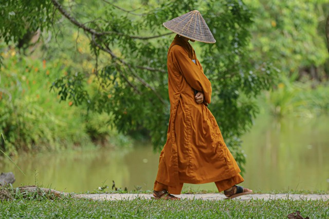 Rừng thiêng giữa phố: Rừng thiền Vạn Tùng Sơn- Ảnh 2. Rừng thiêng giữa phố: Rừng thiền Vạn Tùng Sơn- Ảnh 2.