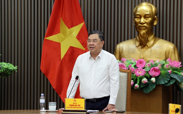 Phó thủ tướng: Không vì khó quản mà cấm nhập khẩu ô tô diện quà biếu tặng- Ảnh 1. Phó thủ tướng: Không vì khó quản mà cấm nhập khẩu ô tô diện quà biếu tặng- Ảnh 1.