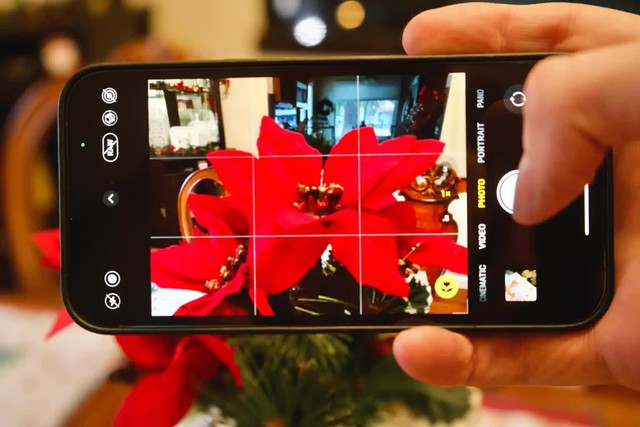 Vì sao camera iPhone đột nhiên hiện biểu tượng bông hoa? - Ảnh 1.
