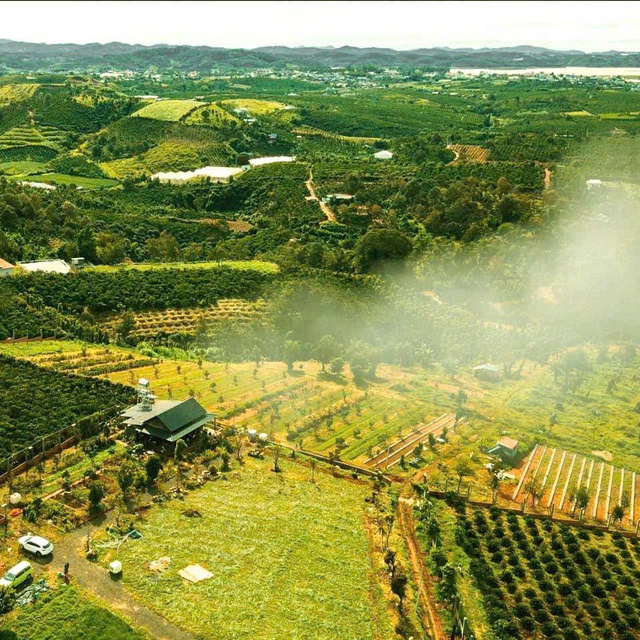 Đi biển Mỹ Khê, ghé Trần Nesta thưởng thức đặc sản Đà Nẵng - Ảnh 4.