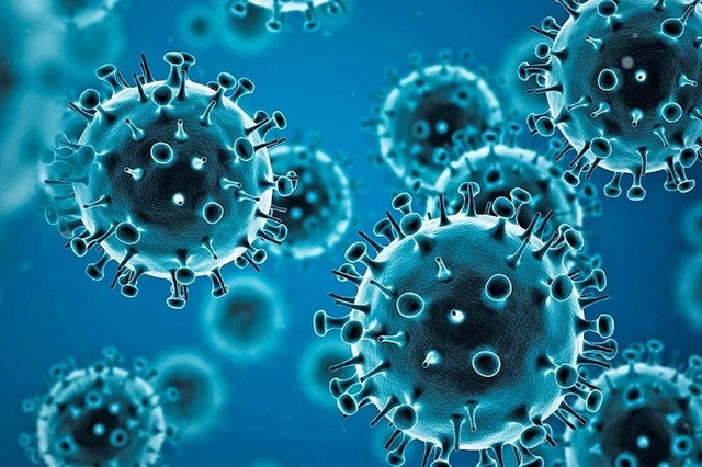 WHO tiếp tục theo dõi biến thể virus SARS-CoV-2- Ảnh 1. WHO tiếp tục theo dõi biến thể virus SARS-CoV-2- Ảnh 1.
