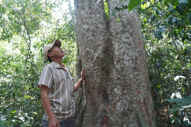 Chuyện giữ rừng, bảo vệ nguồn nước ở H&ograve;n Cấm - Ảnh 3.