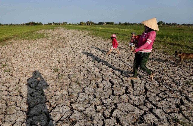 Chủ động ứng ph&oacute; El Nino đang gia tăng cường độ- Ảnh 1.