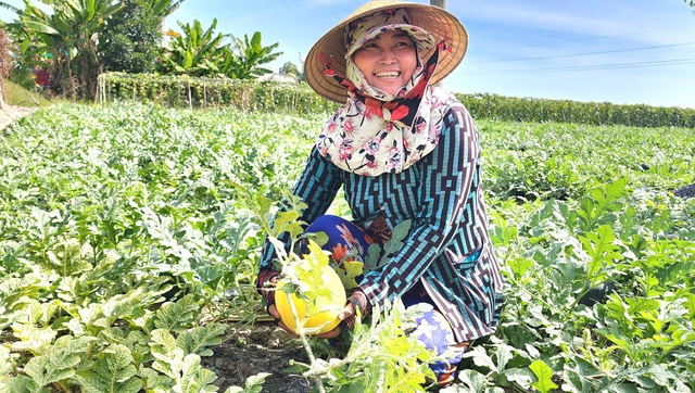 C&agrave; Mau th&agrave;nh lập 13 phường: V&igrave; sao Phước Long l&agrave; trung t&acirc;m trung chuyển?- Ảnh 5.