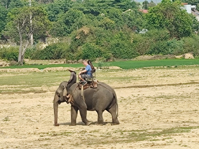 Chuyện vua Bảo Đại săn voi ở T&acirc;y nguy&ecirc;n v&agrave; giai thoại đ&agrave;n voi biết kh&oacute;c- Ảnh 1.