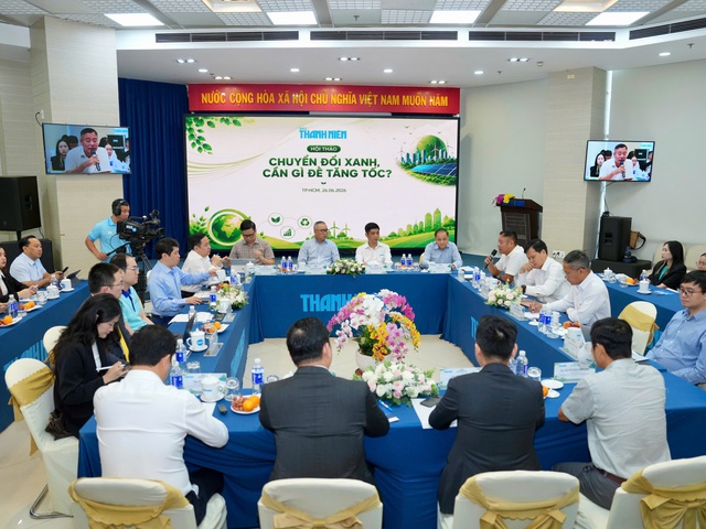 Việt Nam đứng trước cơ hội lớn ph&aacute;t triển mạnh ng&agrave;nh năng lượng t&aacute;i tạo- Ảnh 1.