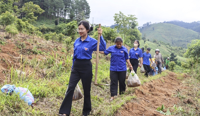Từ 'đại hội không hoa' đến trồng 1 triệu cây cà phê cho đồng bào Xơ Đăng- Ảnh 3.