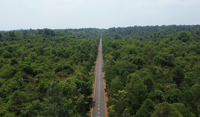 Đồng Nai: Ng&agrave;y mai khởi c&ocirc;ng 13 km đường tr&ecirc;n cao xuy&ecirc;n khu bảo tồn- Ảnh 3.