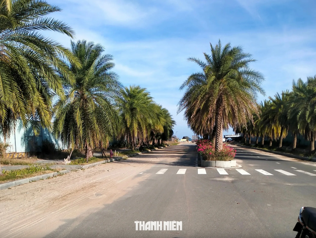 Thanh tra Lâm Đồng chỉ rõ hàng loạt vi phạm tại dự án du lịch Lạc Việt - Ảnh 3.