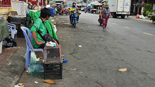 TP.HCM dẹp mua bán chim, cá phóng sinh trái phép: Nơi thoáng đãng, nơi đối phó - Ảnh 6.