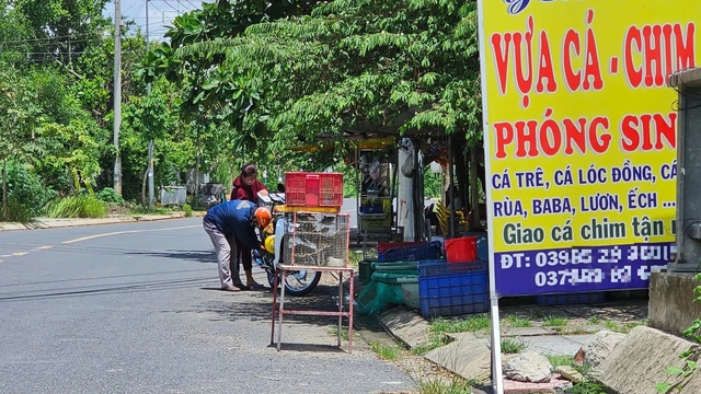 TP.HCM dẹp mua bán chim, cá phóng sinh trái phép: Nơi thoáng đãng, nơi đối phó - Ảnh 4.