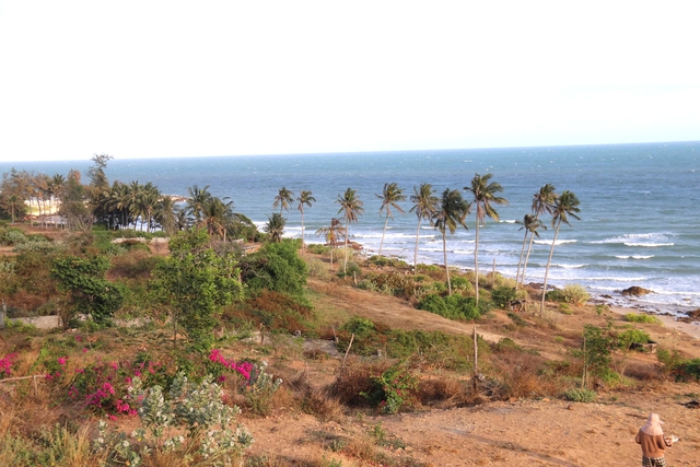Dự án đường ven biển Phan Thiết 10.000 tỉ đồng được đầu tư theo hình thức nào?- Ảnh 2.