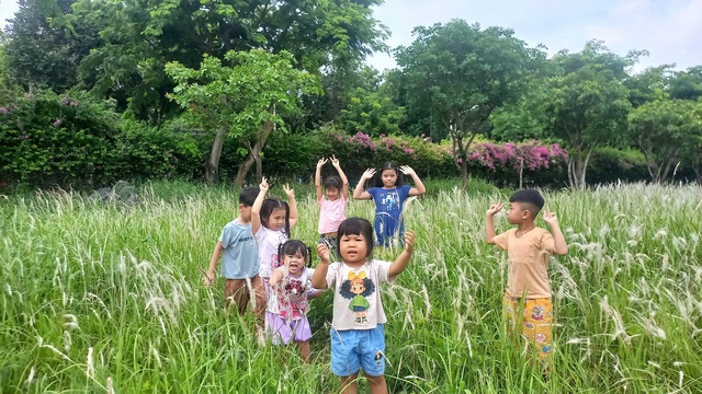 Hoa cỏ lau khoe sắc một g&oacute;c c&ocirc;ng vi&ecirc;n, người trẻ rủ nhau đến check-in - Ảnh 8.