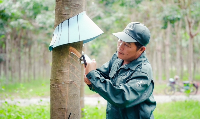 VRG: Kh&aacute;t vọng tăng trưởng hai con số kiến tạo kh&ocirc;ng gian ph&aacute;t triển mới   - Ảnh 1.