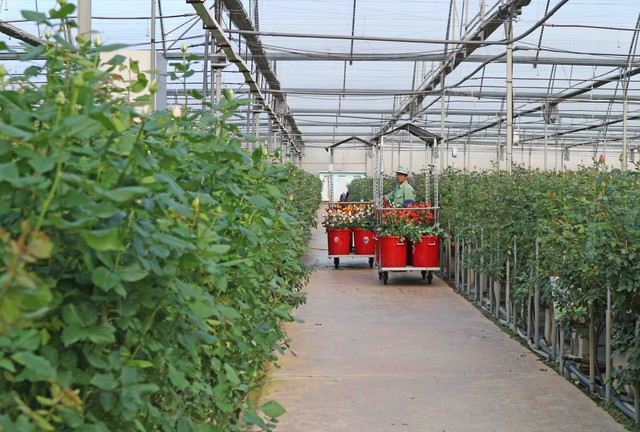 L&acirc;m Đồng điều chỉnh quy hoạch thời kỳ 2021 - 2030, tầm nh&igrave;n 2050 c&oacute; g&igrave; mới?- Ảnh 4.