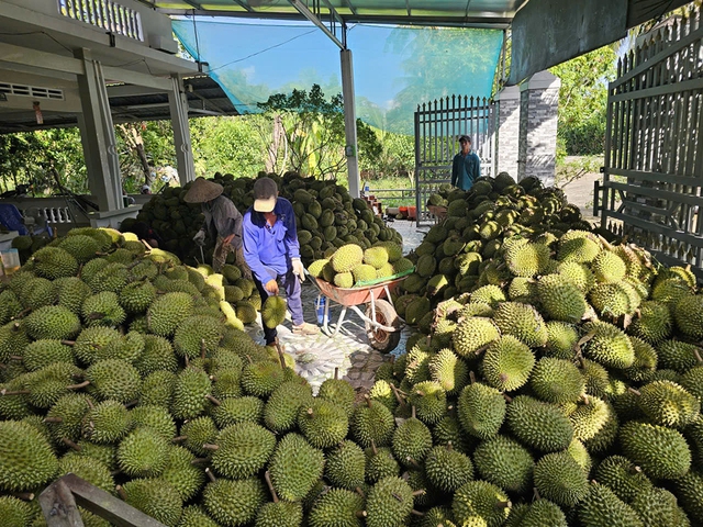 Xuất khẩu nông sản 'lãi ròng' lớn- Ảnh 1. Xuất khẩu nông sản 'lãi ròng' lớn- Ảnh 1.