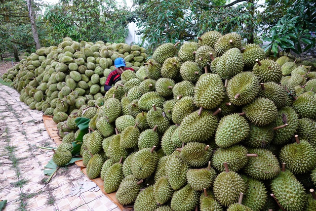 Xuất khẩu rau quả bất ngờ giảm tốc, v&igrave; sao?  - Ảnh 1.