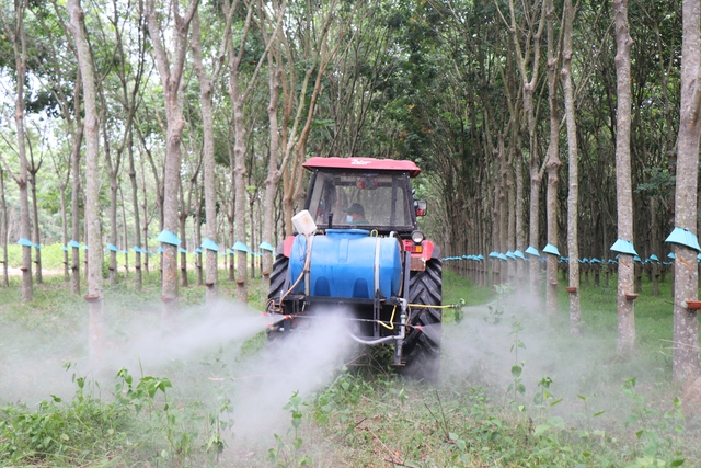 Cao su Tây Ninh: Giữ vững năng suất ‘2 tấn’, hướng đến phát triển xanh- Ảnh 2. Cao su Tây Ninh: Giữ vững năng suất ‘2 tấn’, hướng đến phát triển xanh- Ảnh 2.