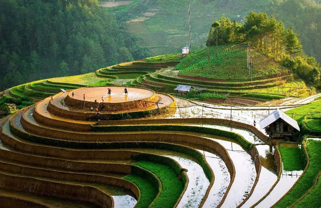 'Chữa lành' giữa Mù Cang Chải đến biệt thự triệu đô bên vịnh di sản- Ảnh 1. 'Chữa lành' giữa Mù Cang Chải đến biệt thự triệu đô bên vịnh di sản- Ảnh 1.