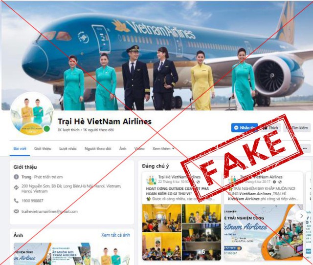 Cảnh báo các 'chiêu' lừa đảo, website giả mạo bán vé bay rẻ - Ảnh 1.