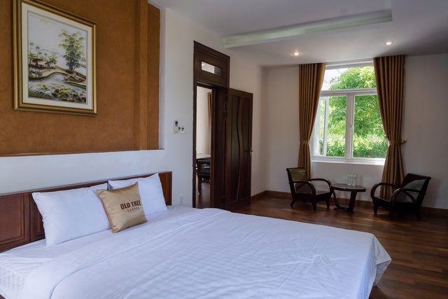 Old Tree Garden: Tiên phong mô hình nghỉ dưỡng sinh thái kết hợp bungalow, villa, pickleball tại Đà Nẵng- Ảnh 2.