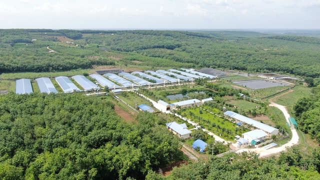 C.P. Việt Nam th&uacute;c đẩy đổi mới s&aacute;ng tạo trong to&agrave;n chuỗi gi&aacute; trị - Ảnh 2.