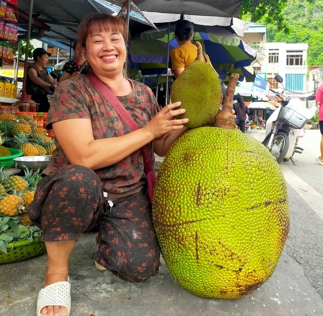 Trái mít khổng lồ nặng 53 kg, bán với giá 500.000 đồng: 'Cả chợ khen ngon' - Ảnh 1.
