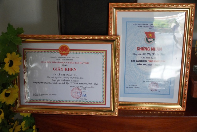 Thủ khoa khối B00 Hà Tĩnh: Học sâu thay vì nhớ nhiều - Ảnh 2.