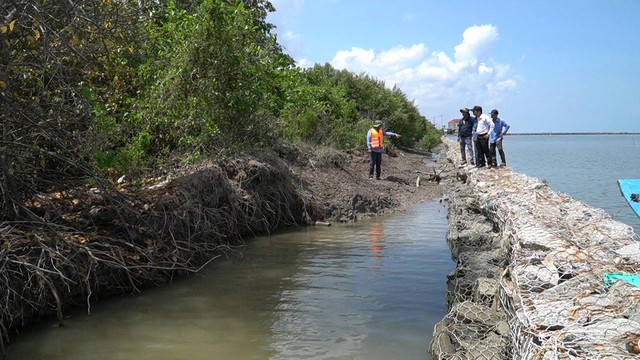 Sạt lở đe dọa sinh kế h&agrave;ng ng&agrave;n hộ d&acirc;n ở An Giang- Ảnh 5.