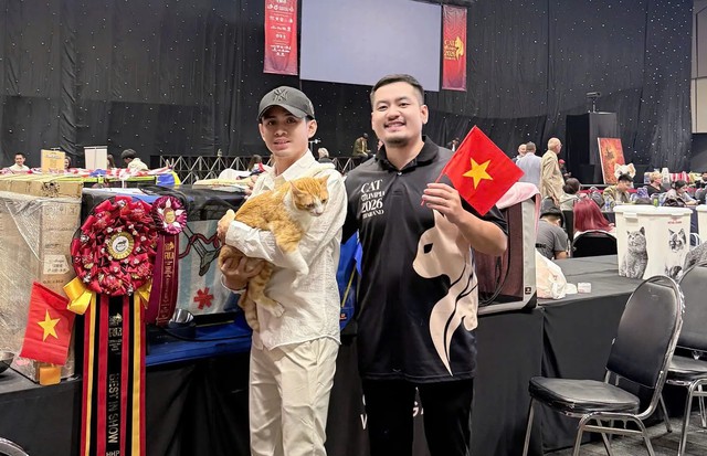 Ch&uacute; m&egrave;o bị bỏ rơi gi&agrave;nh giải nhất trong cuộc thi m&egrave;o thế giới - Ảnh 6.