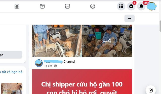 Phạt đến 50 triệu đồng nếu chia sẻ tin sai sự thật: Người trẻ cẩn trọng hơn - Ảnh 4.