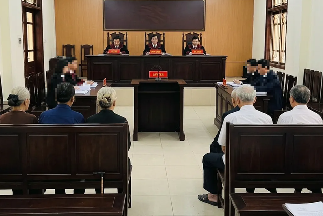 11 anh em kiện chia đất, ròng rã 4 năm, tóc bạc trắng vẫn chưa hồi kết - Ảnh 1.