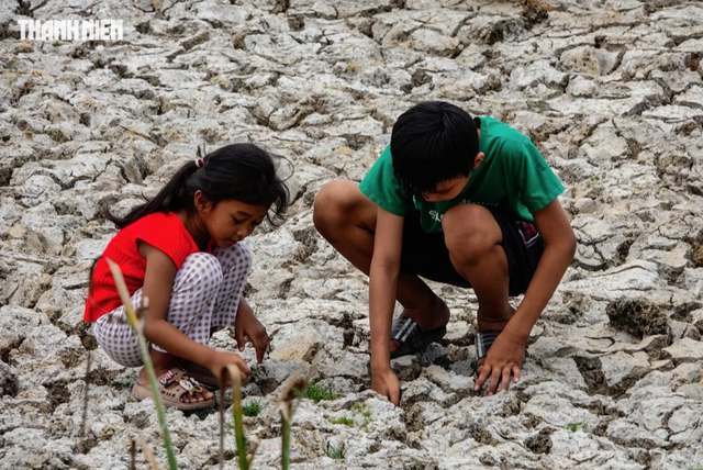C&oacute; 81% El Nino sẽ ph&aacute;t triển th&agrave;nh 'si&ecirc;u El Nino' v&agrave;o cuối năm nay - Ảnh 2.