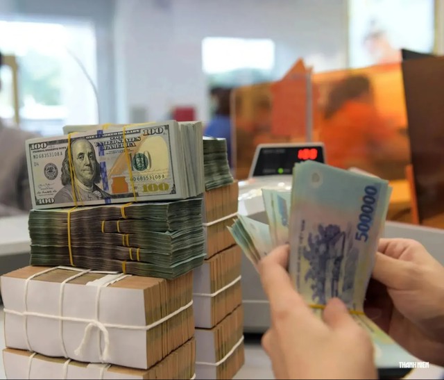 Thuế ra 'tối hậu thư' xử lý doanh nghiệp ngừng hoạt động nhưng chưa đóng mã số thuế- Ảnh 1.