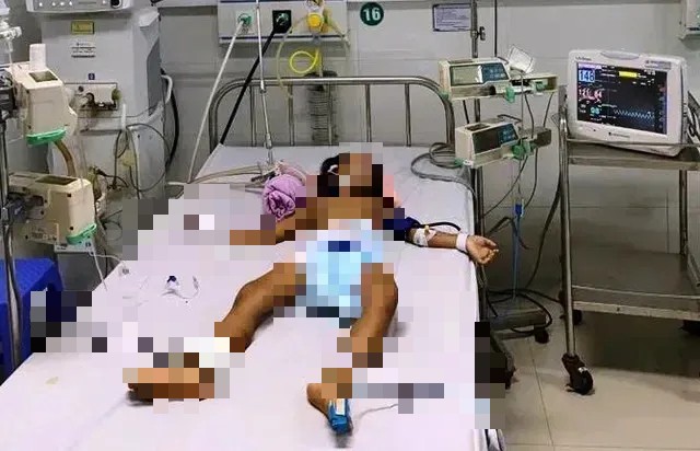 Đ&agrave; Nẵng: Hai chị em ruột nguy kịch sau khi ăn chanh d&acirc;y rừng c&ograve;n xanh- Ảnh 1.