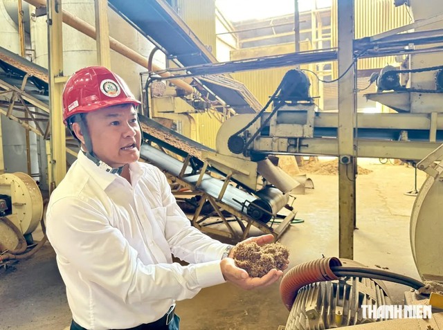Nhà máy Wood Pellets ở Quảng Ngãi vận hành trở lại sau khi khắc phục ô nhiễm - Ảnh 4.