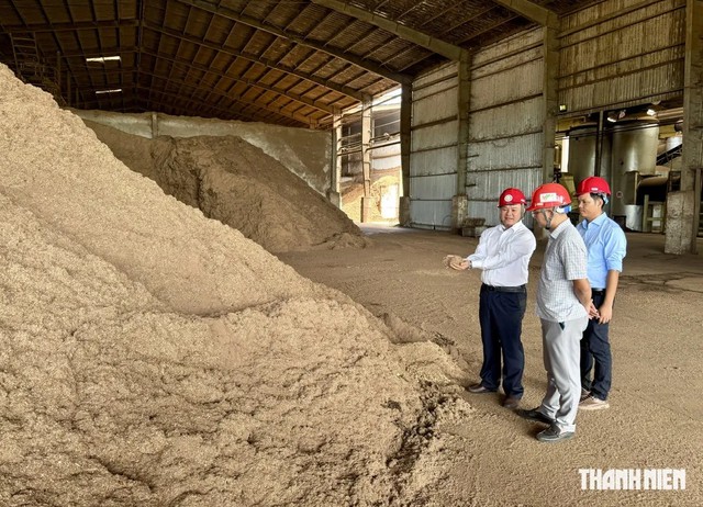 Nhà máy Wood Pellets ở Quảng Ngãi vận hành trở lại sau khi khắc phục ô nhiễm - Ảnh 2.