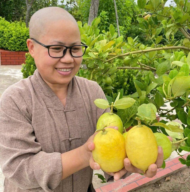 Người gieo mầm thiện nguyện nơi cửa thiền - Ảnh 1.