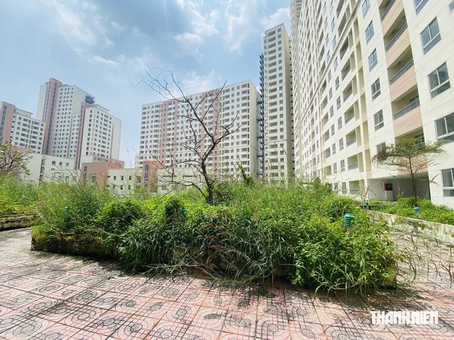 ‘Hồi sinh’ nhà tái định cư bỏ hoang- Ảnh 1.