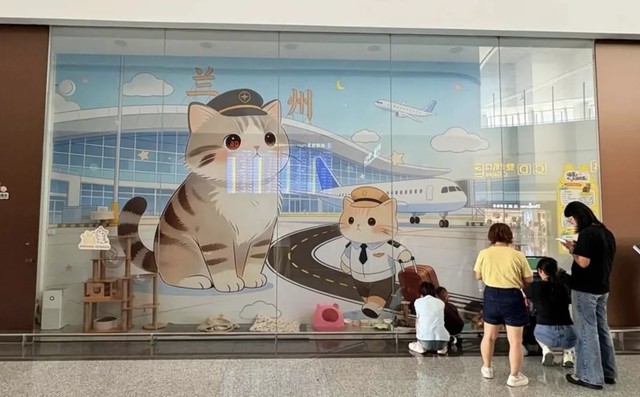 Ba chú mèo hoang bất ngờ trở thành 'nhân viên' sân bay quốc tế - Ảnh 2.