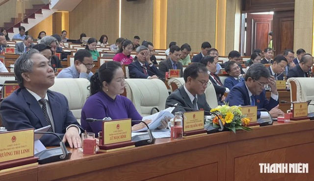 6 tháng, Quảng Ngãi thu ngân sách hơn 19.105 tỉ đồng- Ảnh 3.