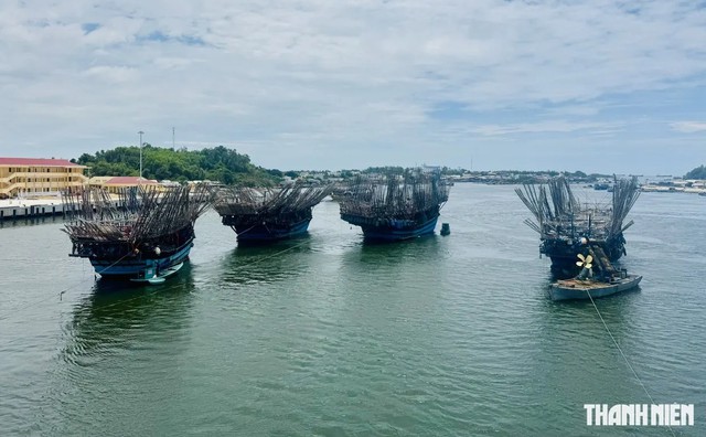 Quảng Ngãi: Ngư dân phải cho tàu dài trên 15 mét cập bến... ngoại tỉnh- Ảnh 1.