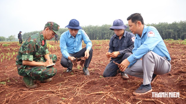 Phát hiện thêm nhiều di vật, dấu hiệu xương cốt tại xã Minh Đức - Ảnh 3.
