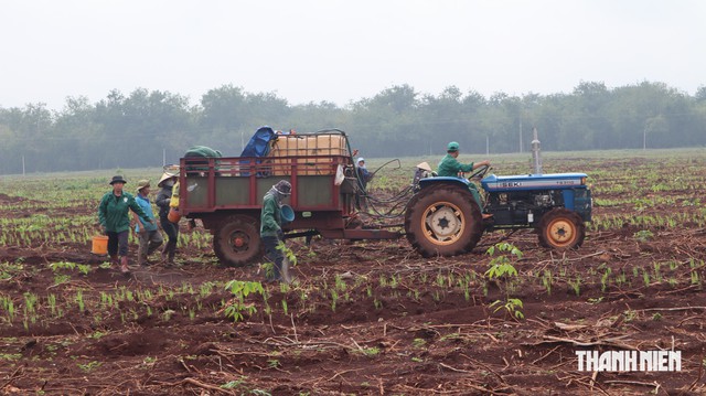  Phát hiện thêm nhiều di vật, dấu hiệu xương cốt tại xã Minh Đức - Ảnh 2.