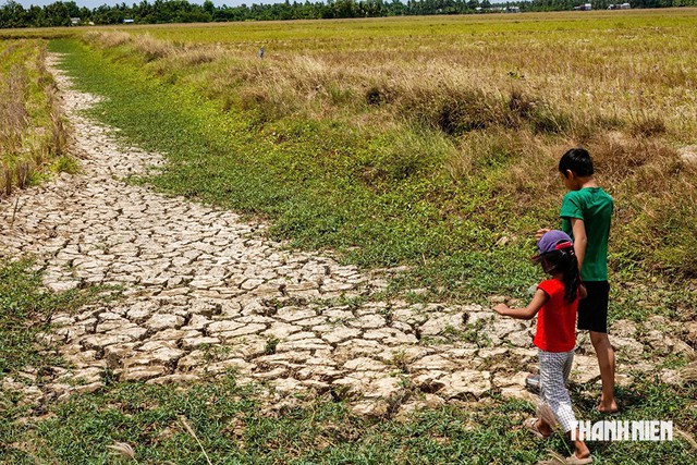 'Siêu El Nino' sắp xuất hiện, ứng phó thế nào ? - Ảnh 1.