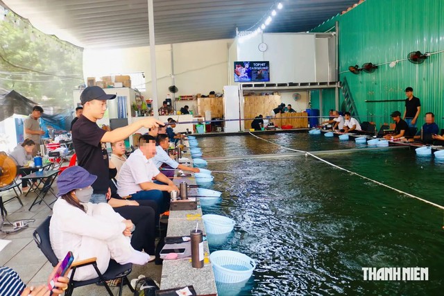 Rủ nhau đi câu tôm ngay giữa lòng thành phố - Ảnh 1.