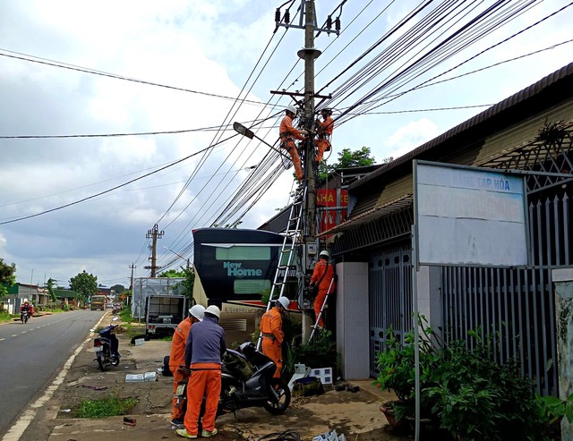 PC Đắk Lắk tiếp nhận 3.239 khách hàng, góp phần thực hiện chủ trương xóa bán tổng- Ảnh 1.